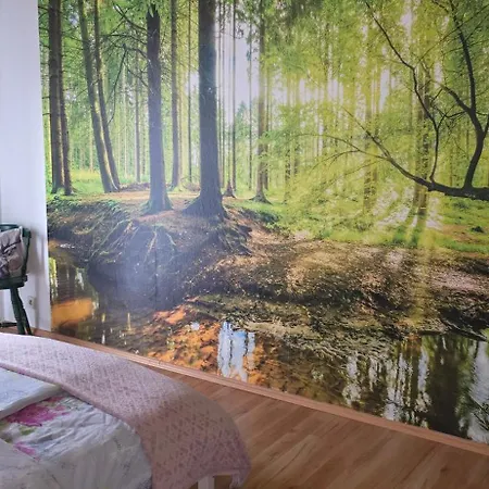 Schieferstuebchen - Grosses Zentrum - Ideal Fuer Familien Und Gruppen 10 Personen * Winterberg